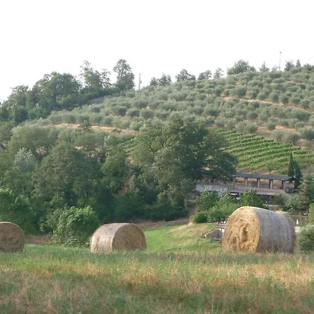 San Bernardino Del Rapolano Terme