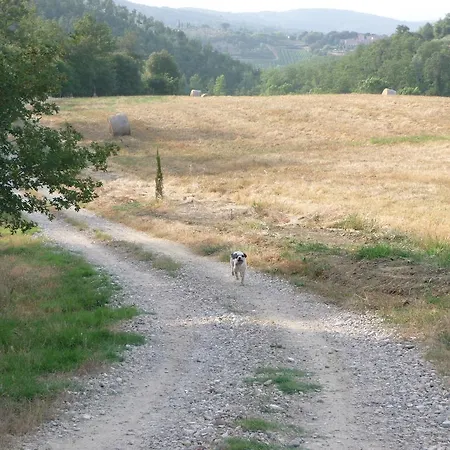 Farm stay San Bernardino Del