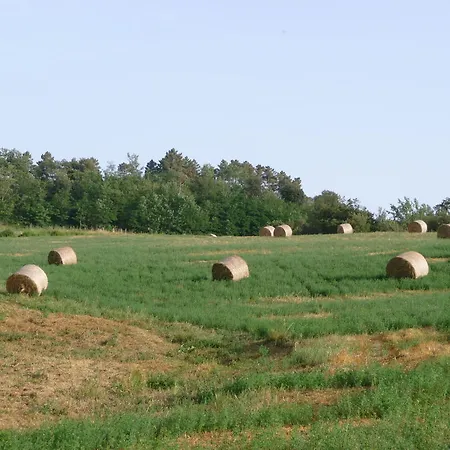 Farm stay San Bernardino Del Rapolano Terme